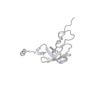 13952_7qg8_E_v1-1
Structure of the collided E. coli disome - VemP-stalled 70S ribosome