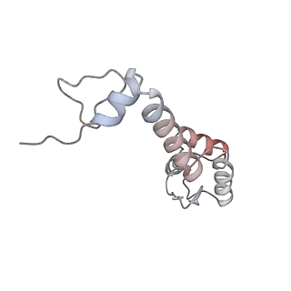 13952_7qg8_F_v1-1
Structure of the collided E. coli disome - VemP-stalled 70S ribosome