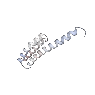 13952_7qg8_u_v1-1
Structure of the collided E. coli disome - VemP-stalled 70S ribosome