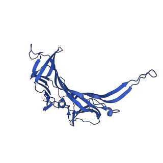 13953_7qg9_I_v1-2
Tail tip of siphophage T5 : common core proteins