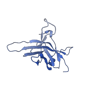 13953_7qg9_R_v1-2
Tail tip of siphophage T5 : common core proteins