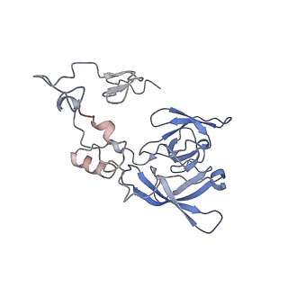 13954_7qgg_A_v1-1
Neuronal RNA granules are ribosome complexes stalled at the pre-translocation state