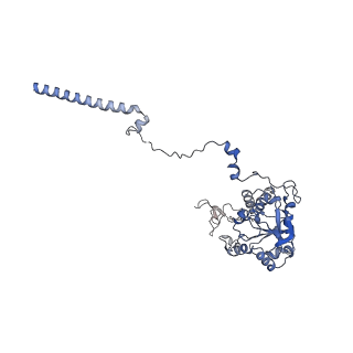 13954_7qgg_C_v1-1
Neuronal RNA granules are ribosome complexes stalled at the pre-translocation state