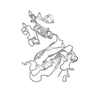 13954_7qgg_Cz_v1-1
Neuronal RNA granules are ribosome complexes stalled at the pre-translocation state