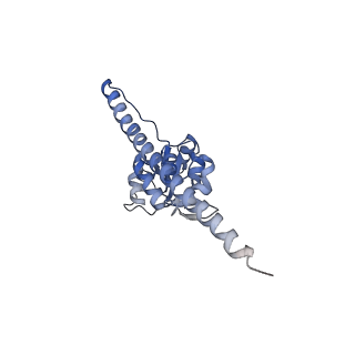 13954_7qgg_H_v1-1
Neuronal RNA granules are ribosome complexes stalled at the pre-translocation state