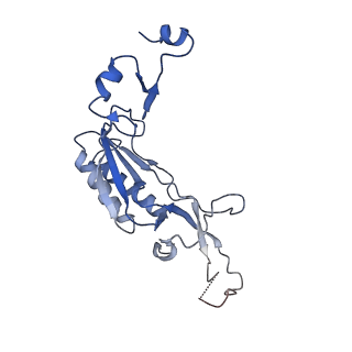 13954_7qgg_K_v1-1
Neuronal RNA granules are ribosome complexes stalled at the pre-translocation state