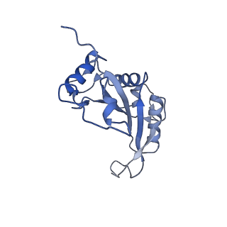 13954_7qgg_L_v1-1
Neuronal RNA granules are ribosome complexes stalled at the pre-translocation state
