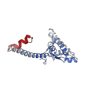 13954_7qgg_P_v1-1
Neuronal RNA granules are ribosome complexes stalled at the pre-translocation state