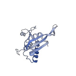 13954_7qgg_Q_v1-1
Neuronal RNA granules are ribosome complexes stalled at the pre-translocation state