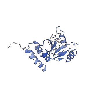 13954_7qgg_R_v1-1
Neuronal RNA granules are ribosome complexes stalled at the pre-translocation state