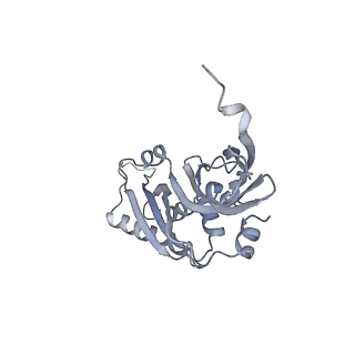 13954_7qgg_SB_v1-1
Neuronal RNA granules are ribosome complexes stalled at the pre-translocation state