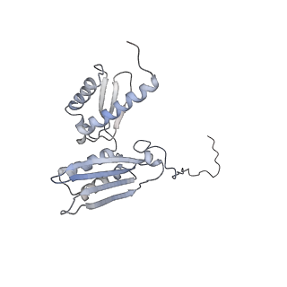 13954_7qgg_SD_v1-1
Neuronal RNA granules are ribosome complexes stalled at the pre-translocation state
