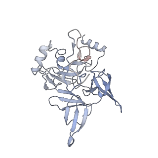 13954_7qgg_SE_v1-1
Neuronal RNA granules are ribosome complexes stalled at the pre-translocation state