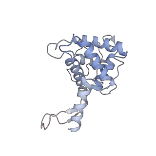 13954_7qgg_SF_v1-1
Neuronal RNA granules are ribosome complexes stalled at the pre-translocation state