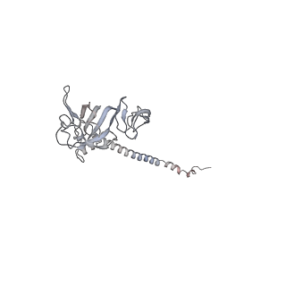 13954_7qgg_SG_v1-1
Neuronal RNA granules are ribosome complexes stalled at the pre-translocation state