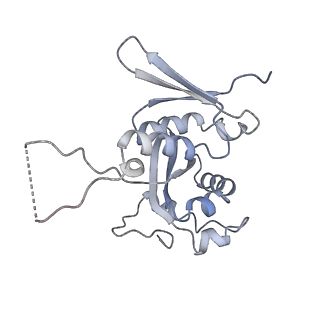 13954_7qgg_SH_v1-1
Neuronal RNA granules are ribosome complexes stalled at the pre-translocation state