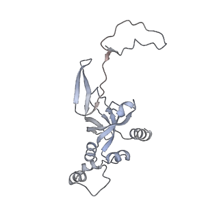 13954_7qgg_SI_v1-1
Neuronal RNA granules are ribosome complexes stalled at the pre-translocation state