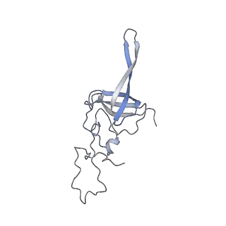 13954_7qgg_SL_v1-1
Neuronal RNA granules are ribosome complexes stalled at the pre-translocation state