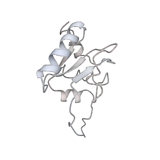 13954_7qgg_SM_v1-1
Neuronal RNA granules are ribosome complexes stalled at the pre-translocation state