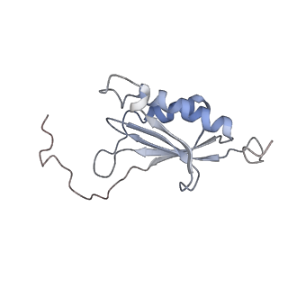 13954_7qgg_SO_v1-1
Neuronal RNA granules are ribosome complexes stalled at the pre-translocation state