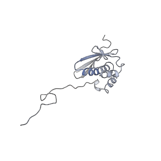 13954_7qgg_SQ_v1-1
Neuronal RNA granules are ribosome complexes stalled at the pre-translocation state