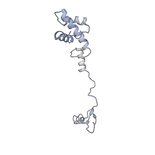 13954_7qgg_SR_v1-1
Neuronal RNA granules are ribosome complexes stalled at the pre-translocation state