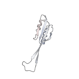 13954_7qgg_SU_v1-1
Neuronal RNA granules are ribosome complexes stalled at the pre-translocation state