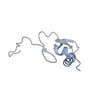 13954_7qgg_SV_v1-1
Neuronal RNA granules are ribosome complexes stalled at the pre-translocation state