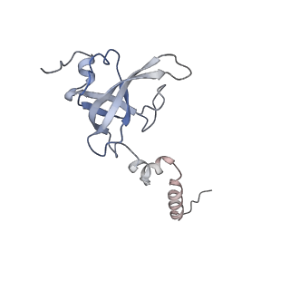13954_7qgg_SX_v1-1
Neuronal RNA granules are ribosome complexes stalled at the pre-translocation state