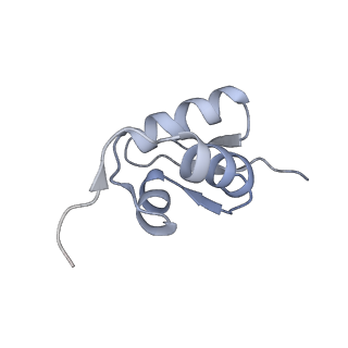 13954_7qgg_SZ_v1-1
Neuronal RNA granules are ribosome complexes stalled at the pre-translocation state