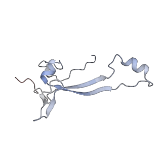 13954_7qgg_Sa_v1-1
Neuronal RNA granules are ribosome complexes stalled at the pre-translocation state
