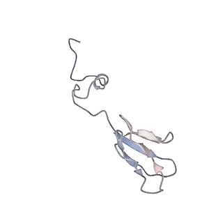 13954_7qgg_Sb_v1-1
Neuronal RNA granules are ribosome complexes stalled at the pre-translocation state