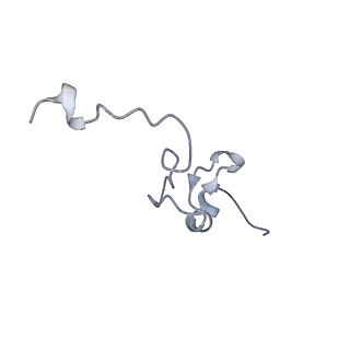 13954_7qgg_Sd_v1-1
Neuronal RNA granules are ribosome complexes stalled at the pre-translocation state