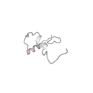 13954_7qgg_Se_v1-1
Neuronal RNA granules are ribosome complexes stalled at the pre-translocation state