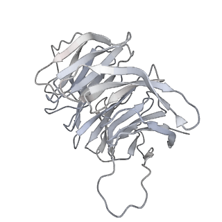13954_7qgg_Sg_v1-1
Neuronal RNA granules are ribosome complexes stalled at the pre-translocation state