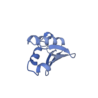 13954_7qgg_V_v1-1
Neuronal RNA granules are ribosome complexes stalled at the pre-translocation state
