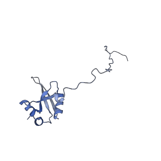 13954_7qgg_Y_v1-1
Neuronal RNA granules are ribosome complexes stalled at the pre-translocation state