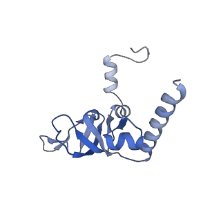 13954_7qgg_Z_v1-1
Neuronal RNA granules are ribosome complexes stalled at the pre-translocation state
