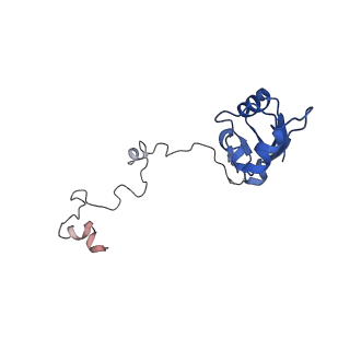 13954_7qgg_b_v1-1
Neuronal RNA granules are ribosome complexes stalled at the pre-translocation state