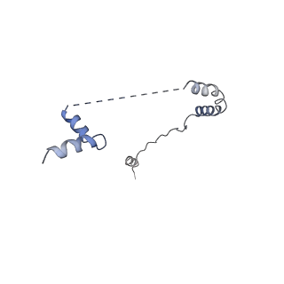13954_7qgg_c_v1-1
Neuronal RNA granules are ribosome complexes stalled at the pre-translocation state