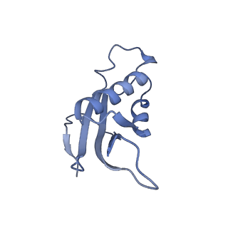 13954_7qgg_e_v1-1
Neuronal RNA granules are ribosome complexes stalled at the pre-translocation state