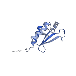 13954_7qgg_r_v1-1
Neuronal RNA granules are ribosome complexes stalled at the pre-translocation state