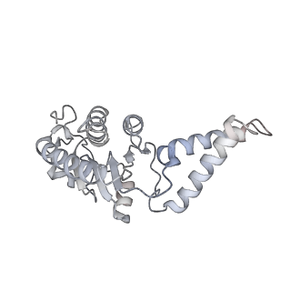 13955_7qgh_1_v1-2
Structure of the E. coli disome - collided 70S ribosome