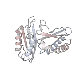 13955_7qgh_2_v1-2
Structure of the E. coli disome - collided 70S ribosome