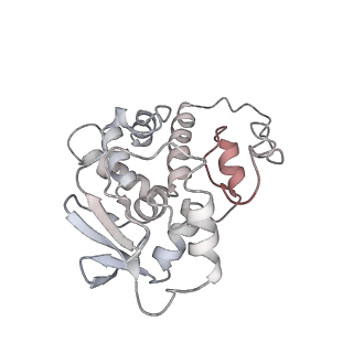 13955_7qgh_3_v1-2
Structure of the E. coli disome - collided 70S ribosome