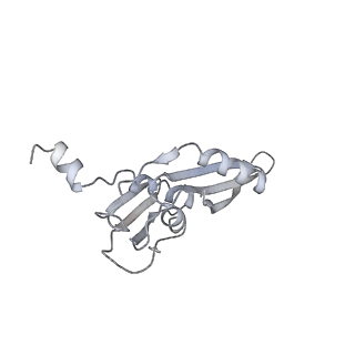 13955_7qgh_4_v1-2
Structure of the E. coli disome - collided 70S ribosome