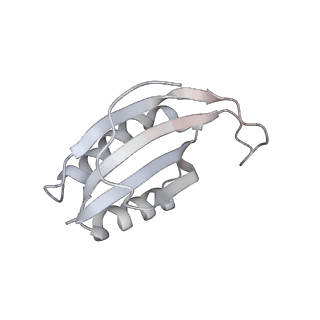 13955_7qgh_5_v1-2
Structure of the E. coli disome - collided 70S ribosome