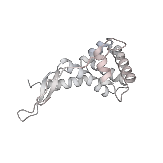 13955_7qgh_6_v1-2
Structure of the E. coli disome - collided 70S ribosome