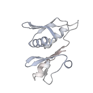 13955_7qgh_7_v1-2
Structure of the E. coli disome - collided 70S ribosome