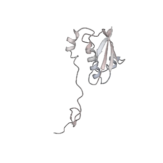 13955_7qgh_8_v1-2
Structure of the E. coli disome - collided 70S ribosome